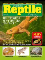 Practical Reptile Keeping